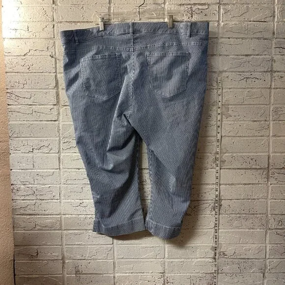 Avenue Denim Blue Striped Crapri Jeans 24W | Railroad Stripe | Plus Size - Picture 6 of 11